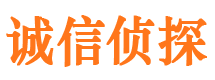 浉河市侦探调查公司